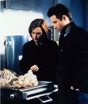 David Duchovny and Gillian Anderson as Mulder and Scully on The X-Files