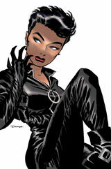 Cover to Catwoman (2nd series) #1, the first issue of her new ongoing series.  Art by Darwyn Cooke.