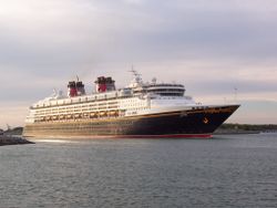 The Disney Magic