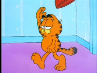 Garfield as seen on Garfield and Friends.